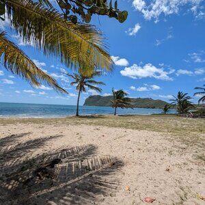 Meet your Posher, Oana